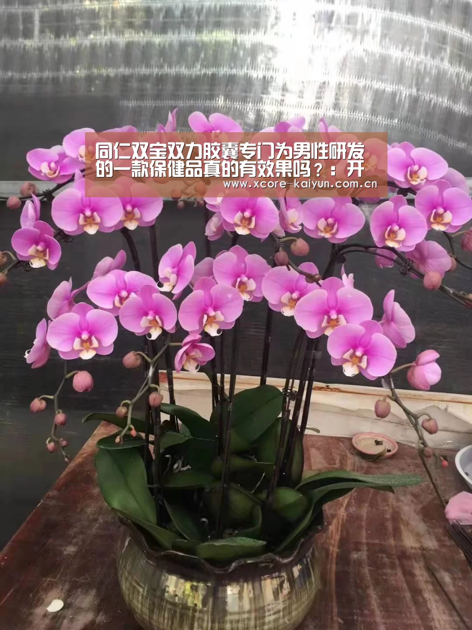 同仁双宝双力胶囊专门为男性研发的一款保健品真的有效果吗?:开元棋牌官方下载(图1) 开元棋牌app